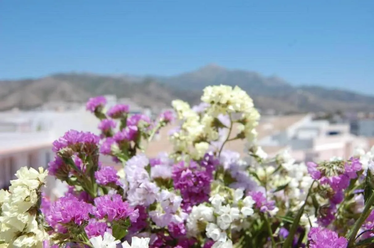 Fantastic 1 Bedroom Apartment In The Centre Of Nerja